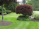 Landscaping Gallery 031.jpg