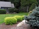 Landscaping Gallery 044.jpg