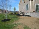 Landscaping Gallery 8b Landscaping Gallery 8b.jpg