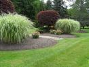 Landscaping Gallery new-2010-016.jpg