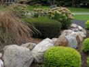 Landscaping Gallery rostien-2.jpg